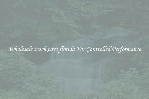 Wholesale truck tires florida For Controlled Performance