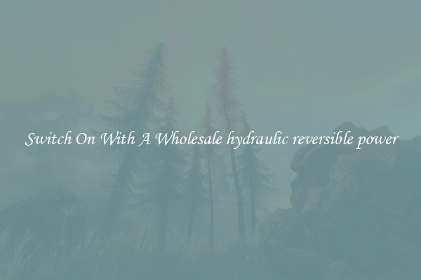 Switch On With A Wholesale hydraulic reversible power