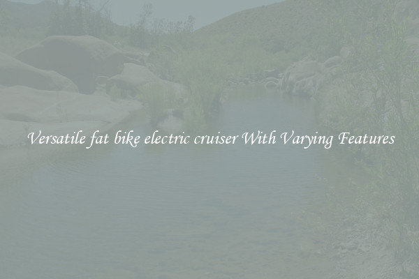 Versatile fat bike electric cruiser With Varying Features