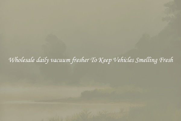 Wholesale daily vacuum fresher To Keep Vehicles Smelling Fresh