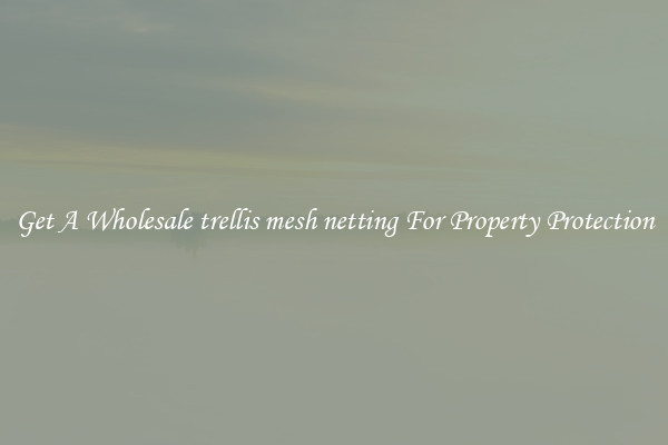 Get A Wholesale trellis mesh netting For Property Protection