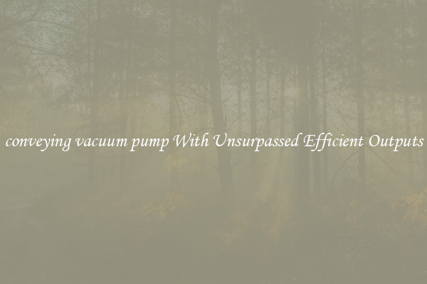 conveying vacuum pump With Unsurpassed Efficient Outputs