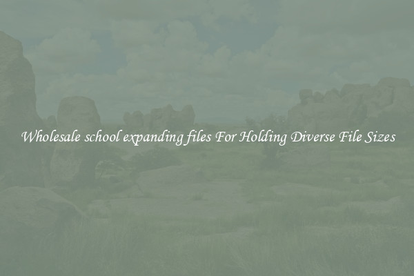Wholesale school expanding files For Holding Diverse File Sizes