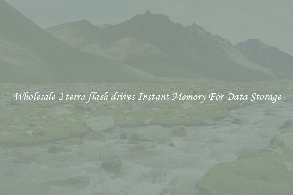 Wholesale 2 terra flash drives Instant Memory For Data Storage