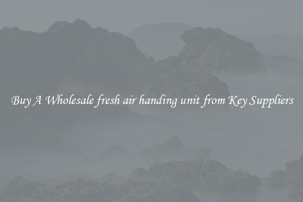 Buy A Wholesale fresh air handing unit from Key Suppliers