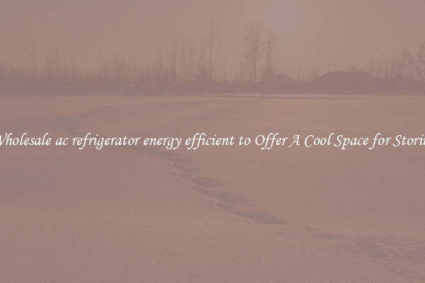 Wholesale ac refrigerator energy efficient to Offer A Cool Space for Storing