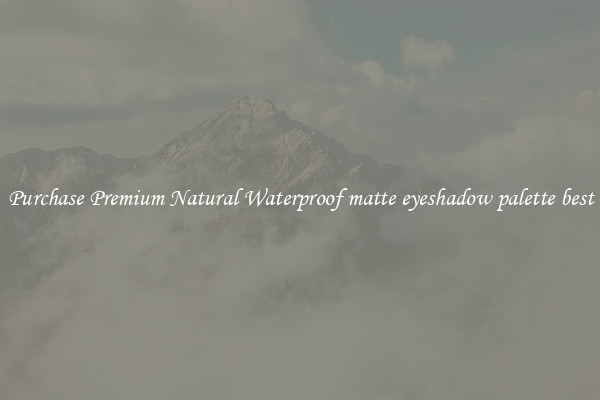 Purchase Premium Natural Waterproof matte eyeshadow palette best