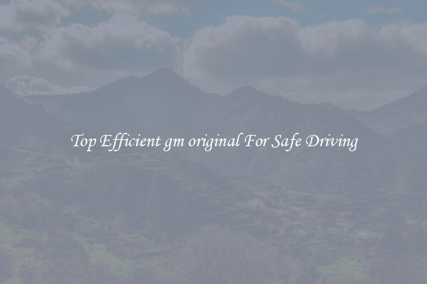 Top Efficient gm original For Safe Driving