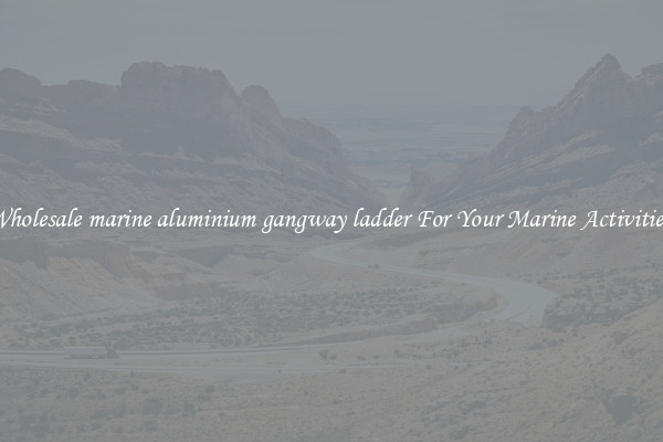 Wholesale marine aluminium gangway ladder For Your Marine Activities 